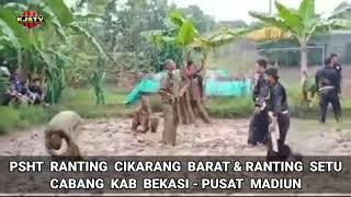 Latihan PSHT di tengah lumpur sawah