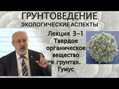 3-1. Грунтоведение. Твердое органическое вещество в грунтах. Гумус. Органо-минеральные комплексы.