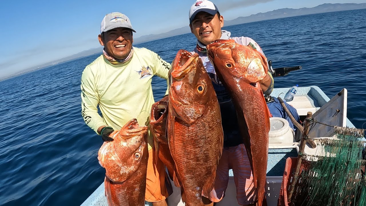 PARGOS GIGANTES CON LA SIMBRA!😱😱😱😱