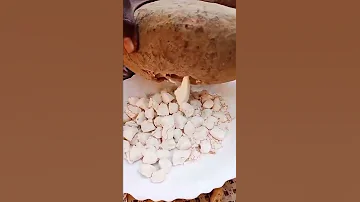 Sudanese Snacks التبلدي القنقليز السوداني 