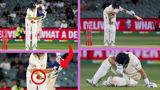 Cricket Nut Shots That Will Make You Shiver... Compilation