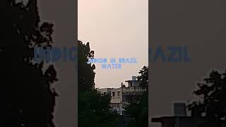 Indigo In Our House Terrace With Brazil Water