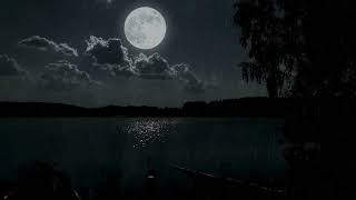 Tranquil Rainfall in the Silver Light of the Moon 8 Hours 🌧️🌕