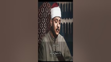 تلاوه تهتز لها القلوب