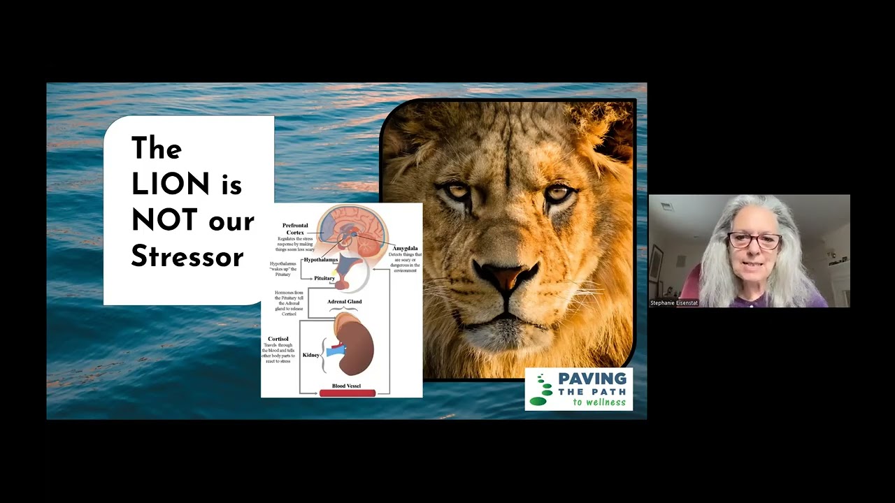 Mindset Matters: The Role of Attitude and Resilience in Cancer Survivorship