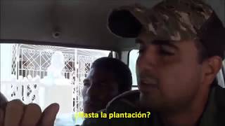 Plantation of Marihuana   Nine Miles   Jamaica