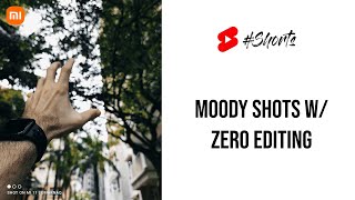 Take Moody Instagram Shots with ZERO Editing | Xiaomi Mi 11 & Redmi Note 10 Pro #Shorts