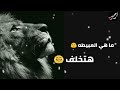 حلات وتس اغنية وخد قراري وهشلف 