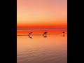 Sunrise in Australia 🇦🇺🦘