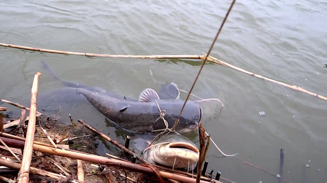 ЗДЕСЬ РЫБЫ ТЬМА! Невероятная рыбалка в канун Нового Года 2026