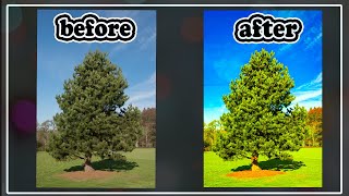 How To Convert Normal Image To A Very Beautiful Image With Photoshop