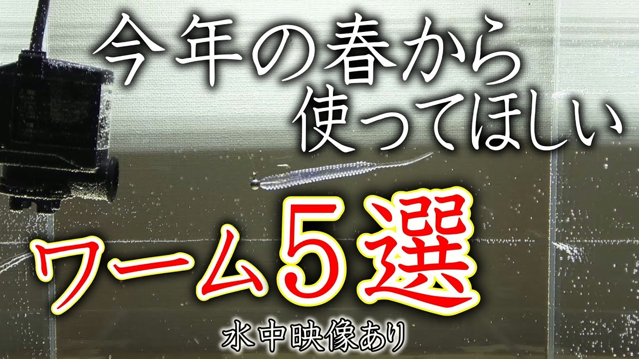【アジング】今年の春から使ってほしいワーム5選