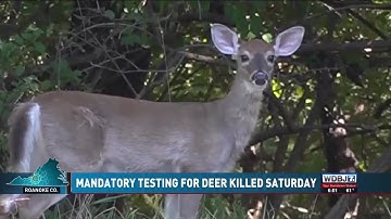 DWR to Conduct Mandatory CWD Testing for Deer