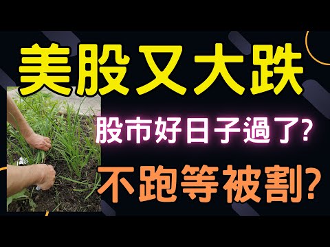 美股又大跌，股市好日子過了? 不跑等被割? 台積電ADR,富台指,股票,輝達,蘋果,特斯拉,微軟,台幣,美元,存股,04/05/24【宏爺講股】