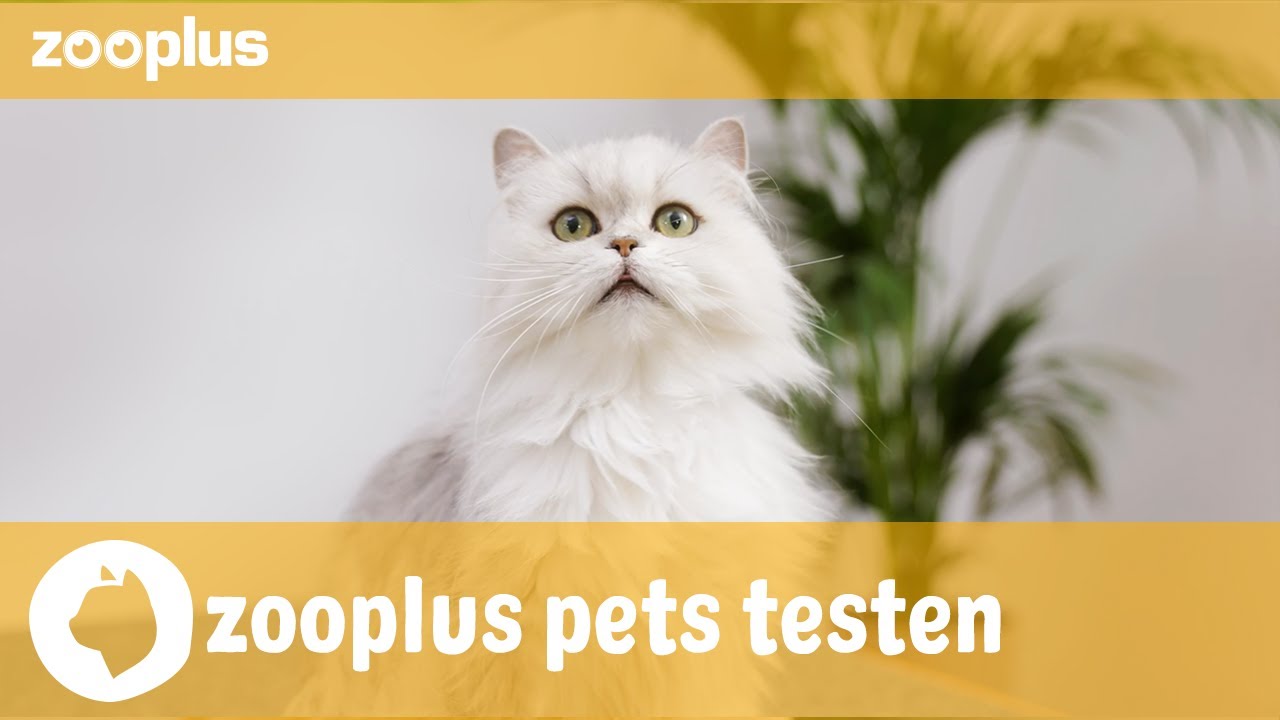 Denver zooplus pets testen Royal Canin Hair & Skin Care YouTube