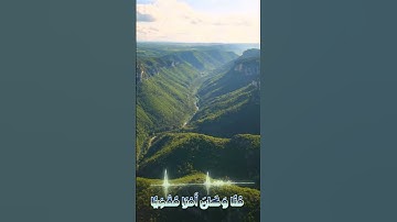 سورة مريم و..كا.نك تسمعها لأ.و،.ل مر.ة💛،💔،.💕🌼💝؛💮بصوت الشيخ حمزة مد؛بو.ح🧡🌹..🏵️💗؛.💘💕💐