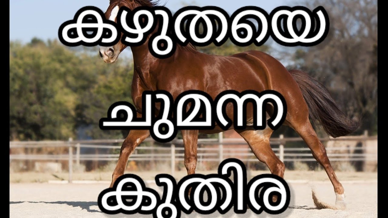 കഴുതയെ ചുമന്ന കുതിര മലയാളം കുട്ടി കഥകൾ /A horse 🐴 carrying a donkey Malayalam kuttikadhakal