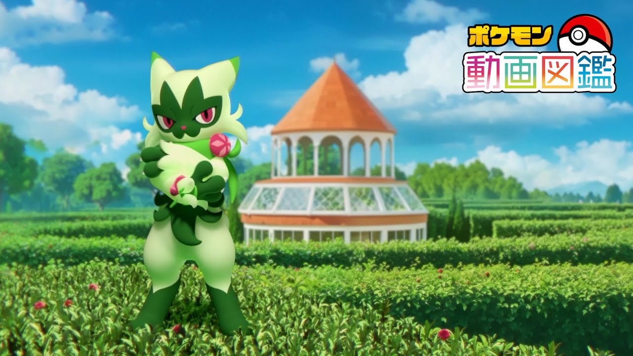 【公式】「ポケモン動画図鑑」No.0907 ニャローテ