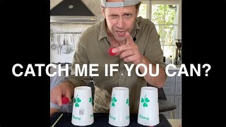 Cups and balls Magic trick?‍️ -Julien Magic ft Shamrock