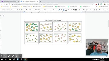Video Tutorial - Dating the Fossil Record Lab