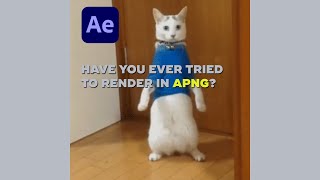 APNG EXPORT for Adobe After Effects