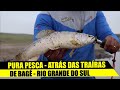 ATRÁS DAS TRAÍRAS DE BAGÉ NO RIO GRANDE DO SUL