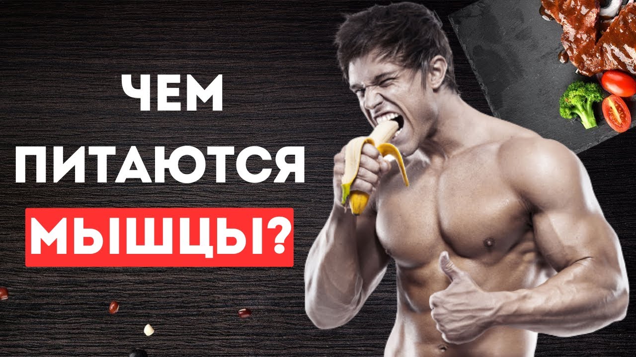 Гликоген - основное питание мышц (ВНИМАТЕЛЬНО)