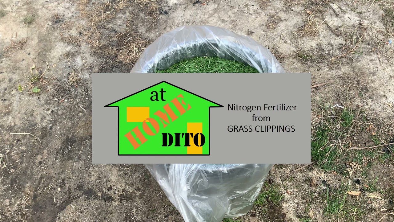 Organic Fertilizer from Grass Clippings - YouTube