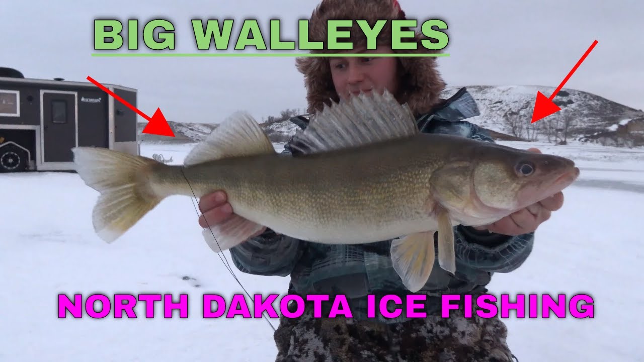 Walleye ICE FISHING in North Dakota (Chasing after tip up flags). YouTube