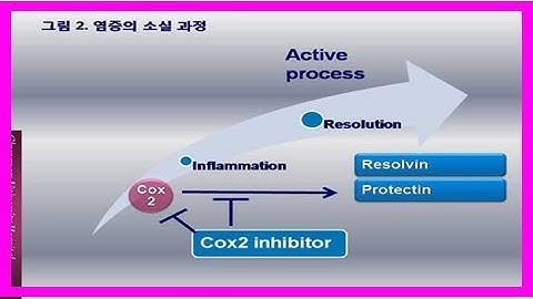 류마티스 관절염 또는 거대 세포 동맥염을위한 코르티코 스테로이드