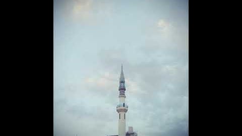 تلاوة هادئه للشيخ وليد هادي حفظه الله