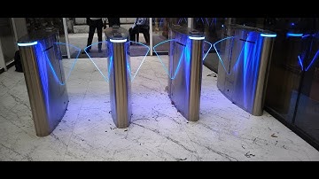 Essl flap barrier 3 lane #automation