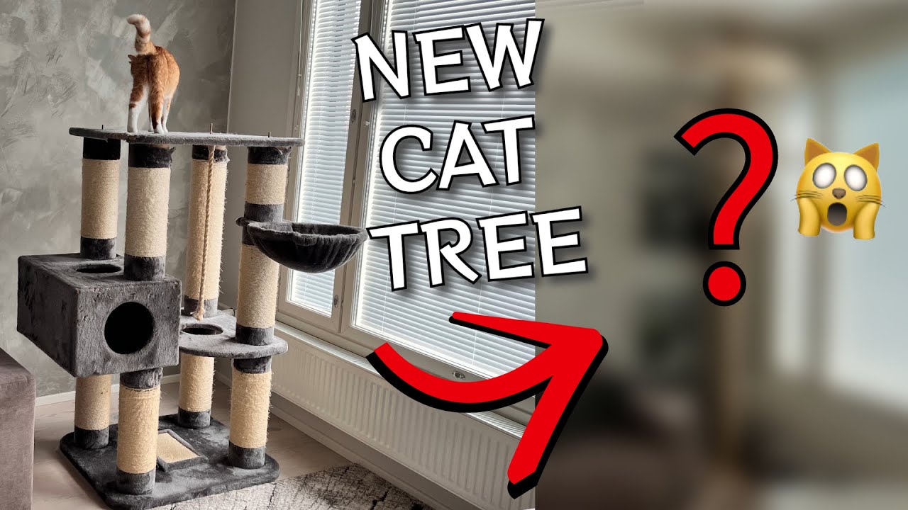 NEW DIY CAT TREE YouTube