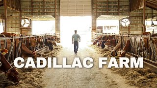 Cadillac Farm | Alstead, NH