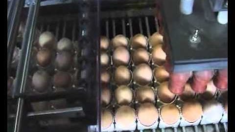 Egg coding EggFlex HeDiPack on Prinzen PSP farmpacker