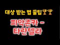대상 받는 꿀팁 피악존카 타란텔라