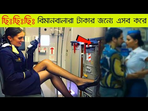 ভিডিও: আপনার কুকুরের সাথে বিমানের মাধ্যমে ভ্রমণ