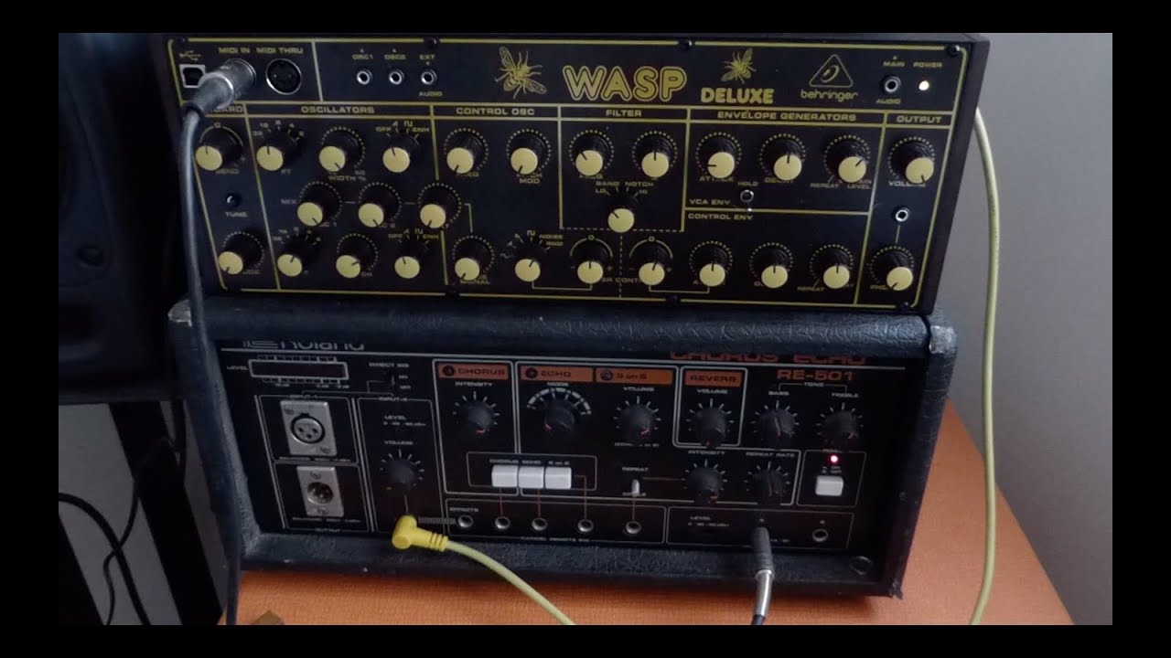 Behringer Wasp Deluxe & Roland RE501 Chorus Echo