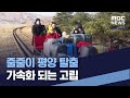 줄줄이 평양 탈출 가속화 되는 고립 (2021.04.10/통일전망대/MBC)