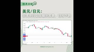 美元兑日元小幅上涨,日银暗示加息📈