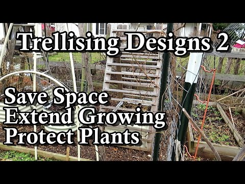 trellising-designs-for-any-garden:-how-to-grow-vertically,-extend-growing-seasons-&-protect-plants