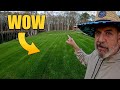 Seeding spring lawns how and when to seed