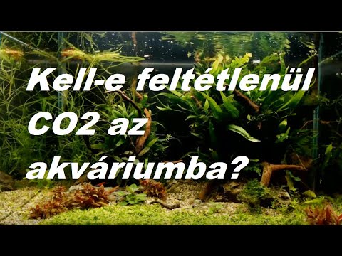 Videó: Kell-e Szűrő Az Akváriumba