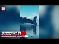 ST.PETERSBURG: Drohnen treffen Putins Heimatstadt! Ukraine schlägt zurück