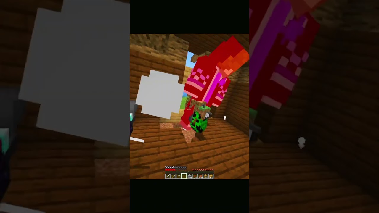 Minecraft Moments Sped up 6
