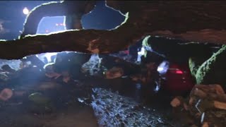 Strong Bay Area storm topples trees
