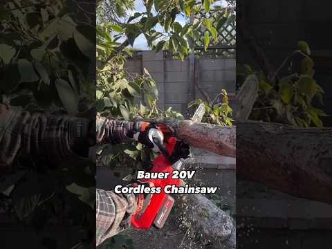 Bauer 20V Cordless
