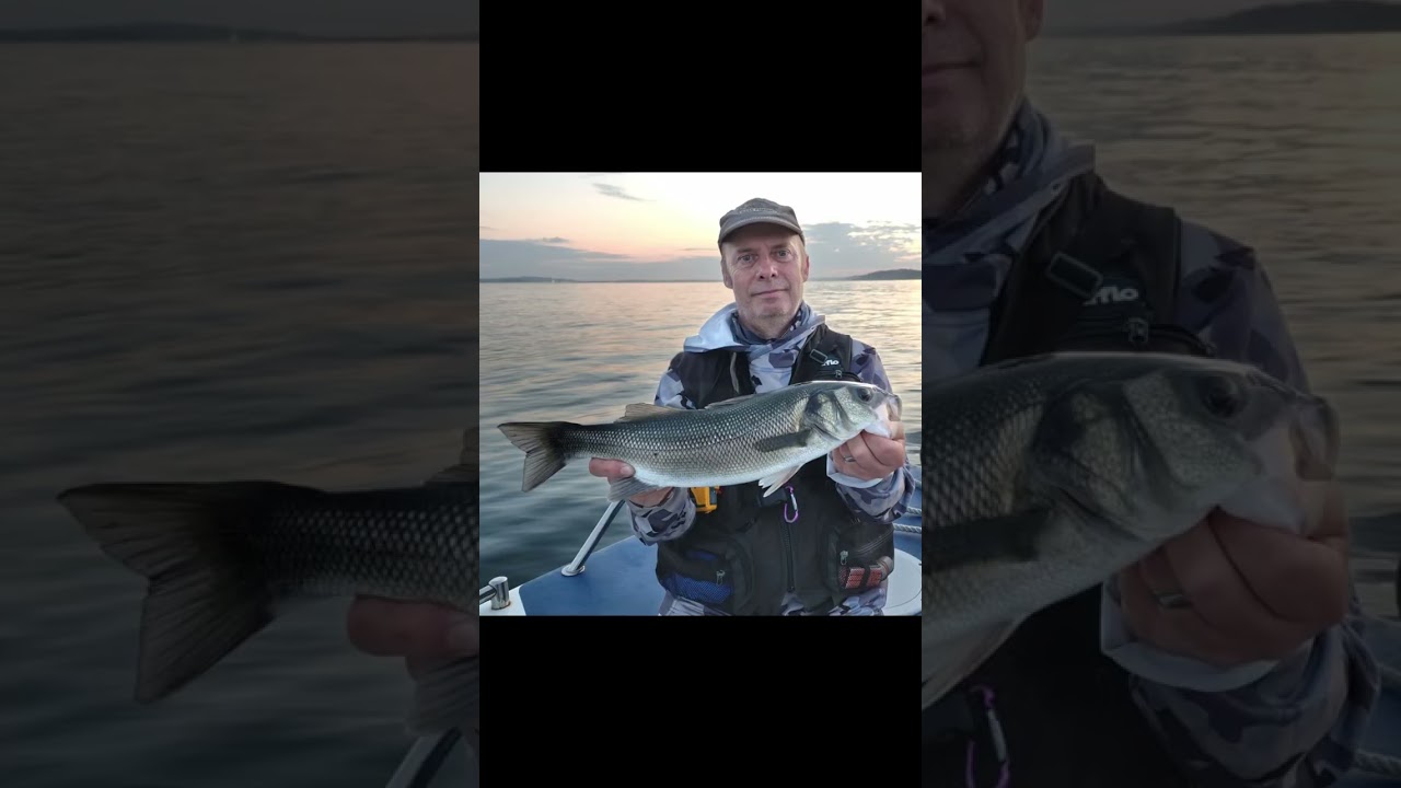 A great evening with Elliot of Jurassic coast bass fishing.
