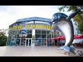 🐬 Kharkiv Dolphinarium Nemo 🐬