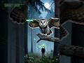 You Won’t Hear This Owl… But It’s Watching You